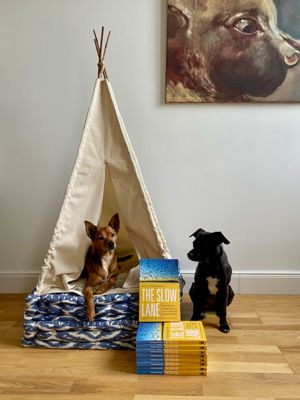 Six Ways To Support The Slow Lane